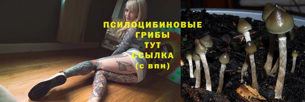 мескалин Верхний Тагил