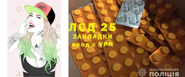 сатива Балахна