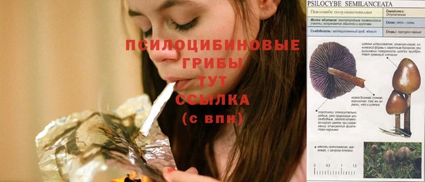 тгк Бронницы